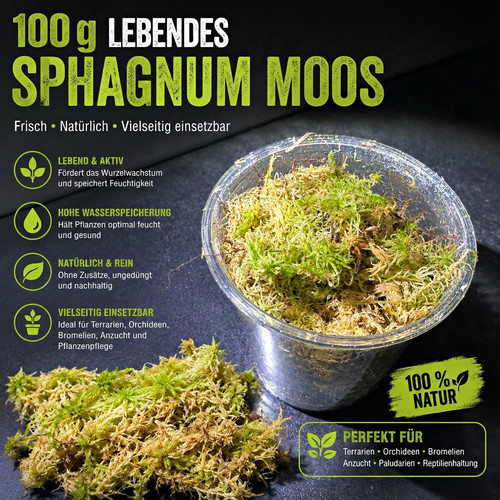 100 lebendes sphagnum - 100, moos