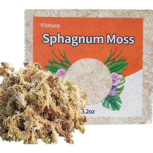 Sphagnum moos 90g - sphagnum,