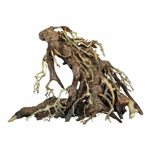 Superfish bonsai baum - superfish,