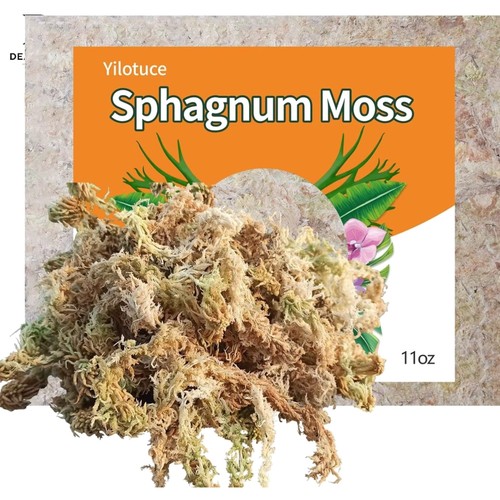 Sphagnum moos 310g naturlich - sphagnum,