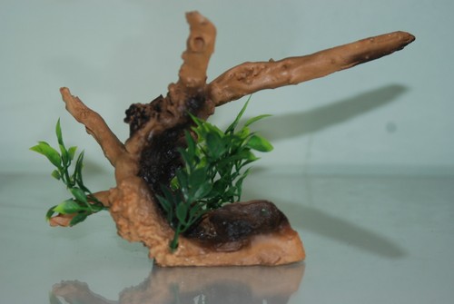 Vivarium detaillierte