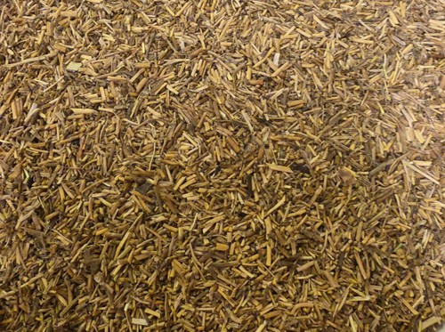 Bio couch gras rhizom elymus - couch,