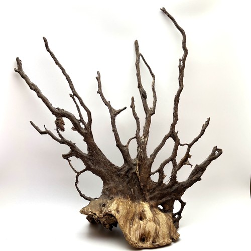 Naturholz wurzel skulptur - naturholz,