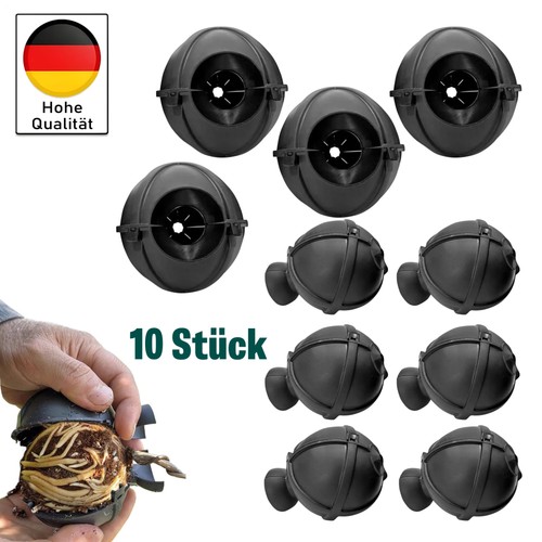 Stück pflanze bewurzelung - stück,