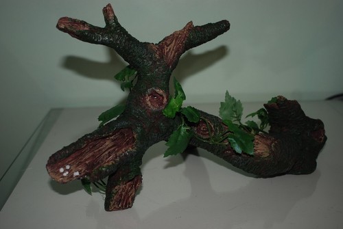 Atemberaubendes vivarium - atemberaubendes,