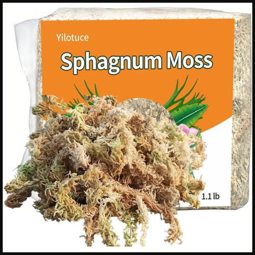 Sphagnum moos 500 - moos, g