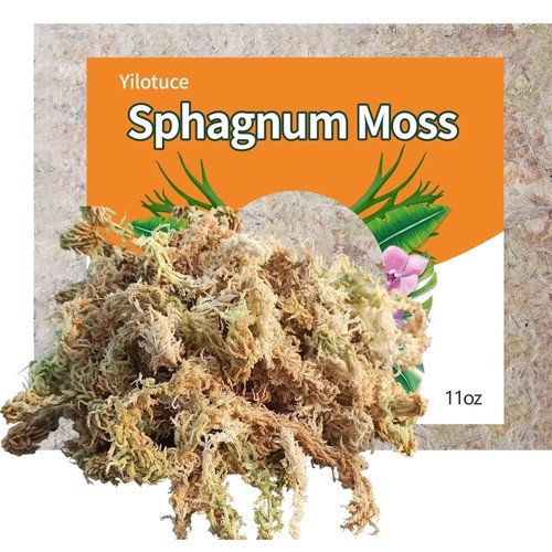 Sphagnum moos 310g natur - moos, für