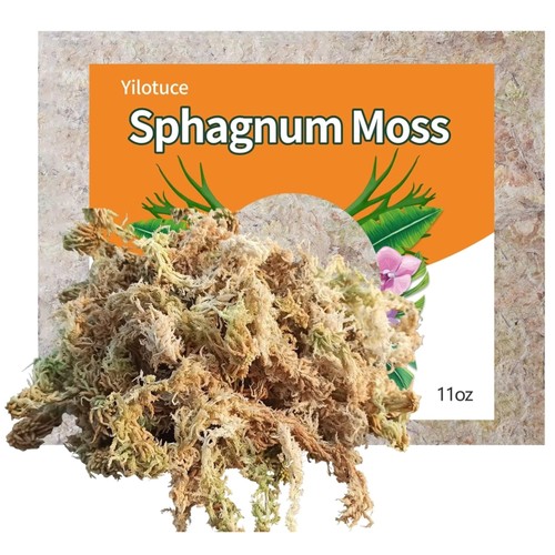 Sphagnum moos 310g orchideen - sphagnum,