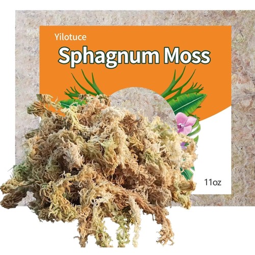 Sphagnum moos 310 für - 310, g
