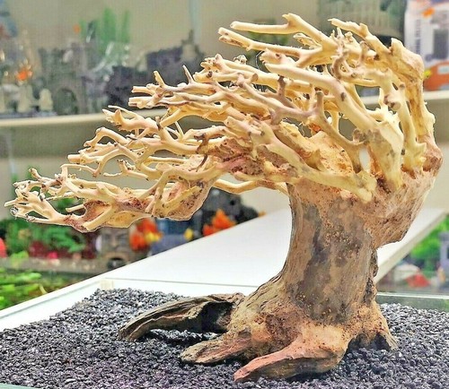 Bonsai baumschmuck aquarium - baumschmuck,