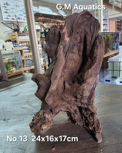 Treibholz moorholz no 13 - treibholz,