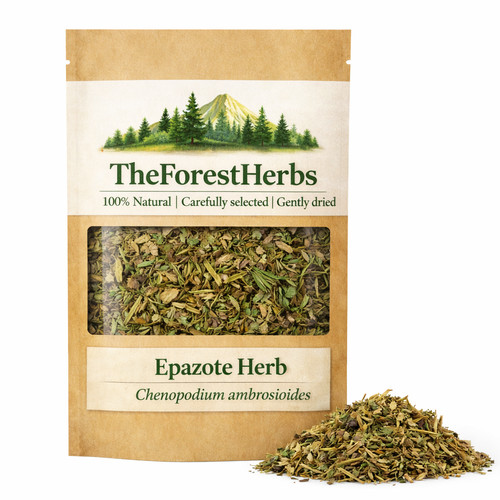 Epazote kraut chenopodium - epazote,