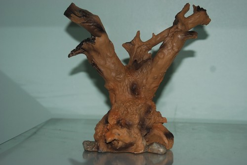 Vivarium detaillierte