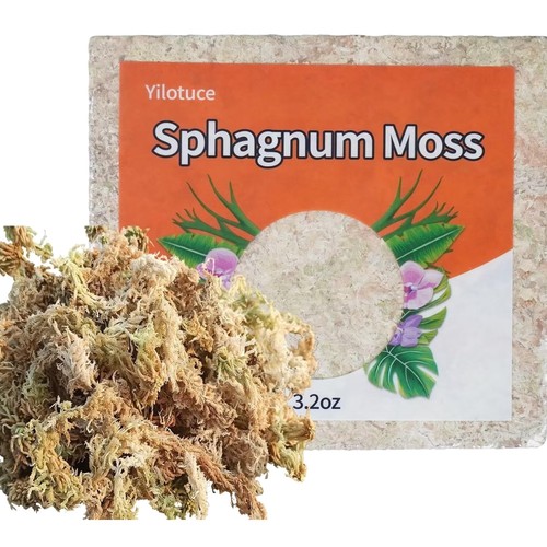 Sphagnum moos g - sphagnum, 90