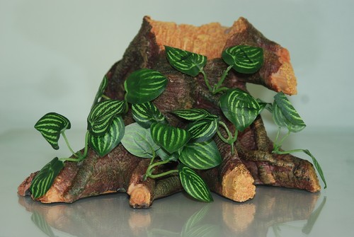 Große detaillierte vivarium - detaillierte,